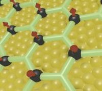 Graphical abstract: Ferromagnetic Coupling of Mononuclear Fe Centers in a Self-Assembled Metal-Organic Network on Au(111)