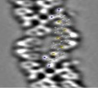 Graphical abstract: Orbital Redistribution in Molecular Nanostructures Mediated by Metal-Organic Bonds