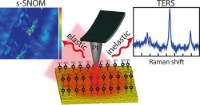 Graphical abstract