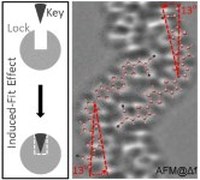 Graphical abstract: Direct Imaging of the Induced-Fit Effect in Molecular Self-Assembly