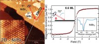 Graphical abstract: Noncollinear Magnetic Order in Two-Dimensional NiBr2 Films Grown on Au(111)